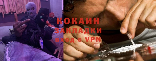 прущие грибы Абаза
