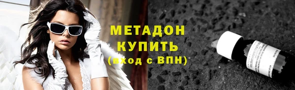 прущие грибы Абаза