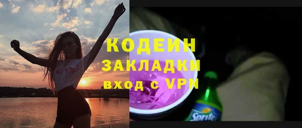прущие грибы Абаза