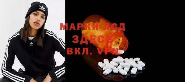 прущие грибы Абаза