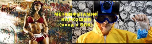 прущие грибы Абаза