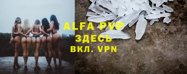 прущие грибы Абаза