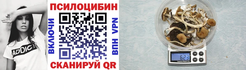 где купить наркоту  Тимашёвск  Псилоцибиновые грибы Magic Shrooms 